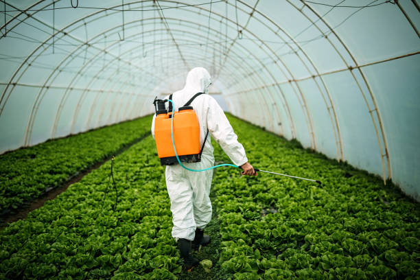 Best Mosquito Control Services  in Shorewood, MN