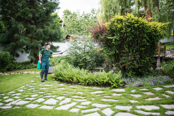Best Ant Control Services  in Shorewood, MN