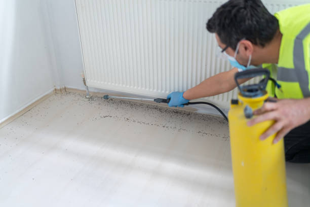 Best Emergency Pest Control  in Shorewood, MN