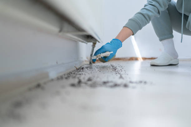 Insect Control in Shorewood, MN